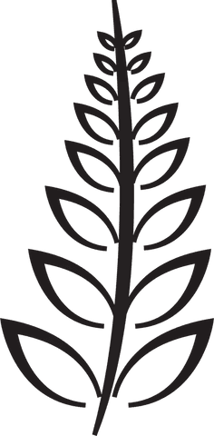 Transparent Black Plant Illustration with Organic Shapes - Download Free Stock Videos Pikwizard.com