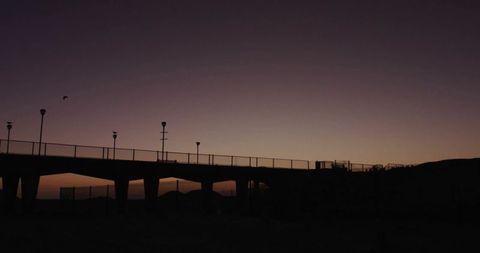 Pier Silhouette with Bird against Tranquil Dusk Sky