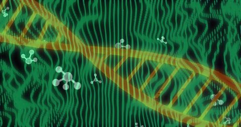 Abstract DNA Strand with Molecular Structures in Green Waves - Download Free Stock Images Pikwizard.com