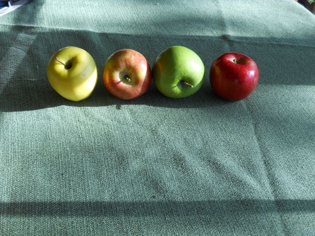 This image shows four apples of different colors—yellow, multi-colored, green, and red—arranged in a row on a green tablecloth. The diversity of colors and natural light can be used to emphasize healthy eating and the importance of including a variety of fruits in one's diet. It is suitable for blogs or websites related to nutrition, organic foods, or healthy living. It can also be used in advertisements or educational materials about healthy snacks.