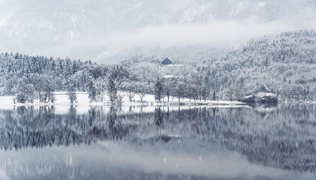 Depicts a tranquil winter scene featuring a calm lake reflecting snow-covered pine trees and a distant, foggy mountainous landscape. Ideal for use in articles or advertisements about winter travel, nature photography, peaceful retreats, and seasonal greeting cards.