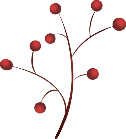 minimalistic red berry branch illustration on transparent background - Download Free Stock Videos Pikwizard.com