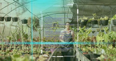 Botanist utilizing ar technology for plant inspection in greenhouse