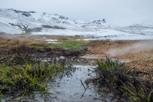 Beautiful Icelandic landscape featuring hot springs with steam emanating, set against snowy mountains and vibrant green grass. Ideal for use in travel brochures, nature publications, and websites promoting geothermal attractions or Nordic travel experiences.