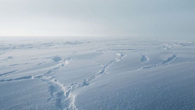 Expansive Arctic sastrugi field stretching across frozen tundra with fractured snow ridges