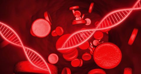 Digital DNA Strands and Blood Cells on Red Background