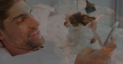 Man relaxing in bed while video calling with puppy