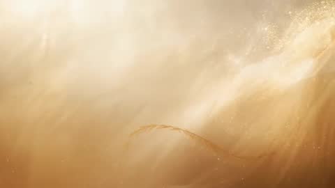 Slender Wheat Awn Swaying through Golden Backlight with Floating Sparkle Particles and Soft Dust Glo