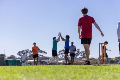 Local cricket team celebrating wicket on suburban field with stumps and sunny sky