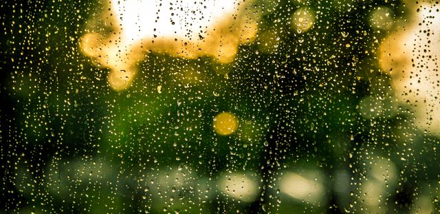 Rain drops on a glass window with trees blurred in the background, golden light filtering through. Suitable for depicting rainy weather, tranquil moments, nature's beauty, or used in themes about weather forecasting, hygge lifestyle, and climate.