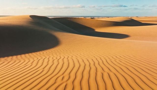 Golden sand dunes casting long shadows along coastal horizon rippling wind-sculpted ridges