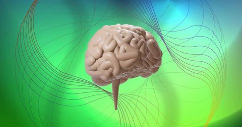 Rotating 3D Brain Model with Wireframe Neural Flow on Green-Cyan Gradient