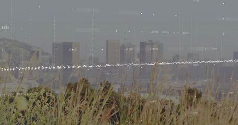 Swaying coastal grasses overlooking bay skyline with overlaid data waveform, misty harbor
