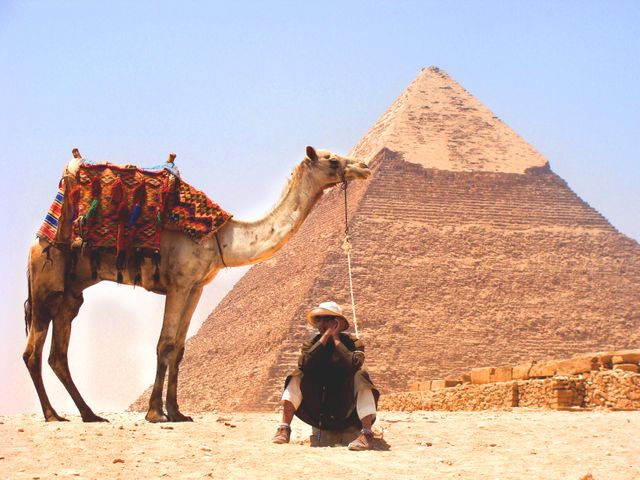 Camel and man sitting near the iconic Pyramid of Giza in Egypt. Ideal for travel advertisements, Egyptian cultural and historical content, and desert adventure blogs.
