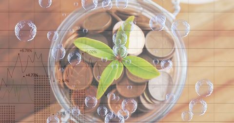 Growth symbol plant in jar with coins over financial background