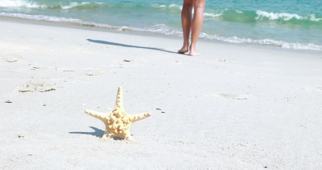 Starfish on Sandy Beach with Waves and Legs in Background - Download Free Stock Images Pikwizard.com