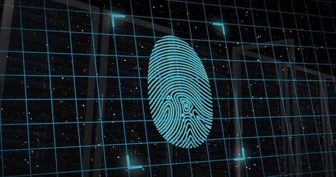 Digital Security with Fingerprint Biometric Overlay - Download Free Stock Images Pikwizard.com