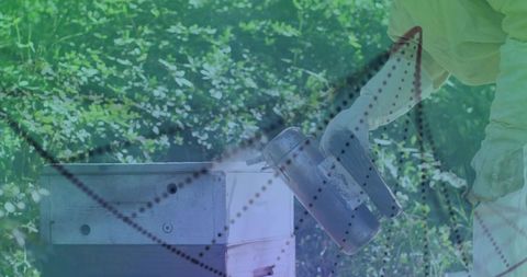 Beekeeper in protective gear smoking hive in sunlit apiary