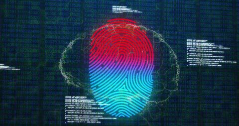 Futuristic Fingerprint Recognition with Digital Brain Overlay - Download Free Stock Images Pikwizard.com