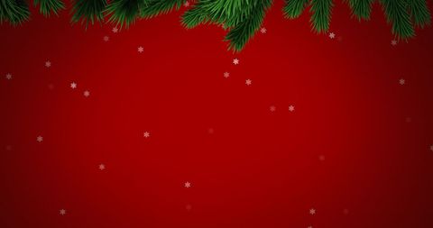 Festive red background with snowflakes and pine branches