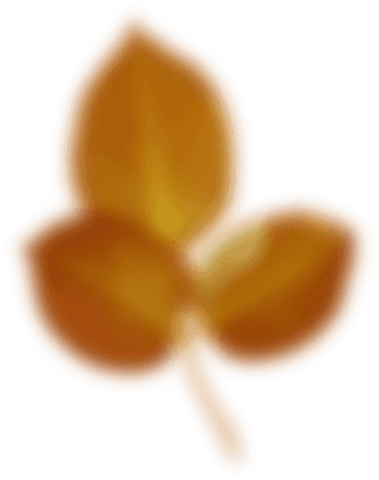 Transparent blurry autumn leaf illustration