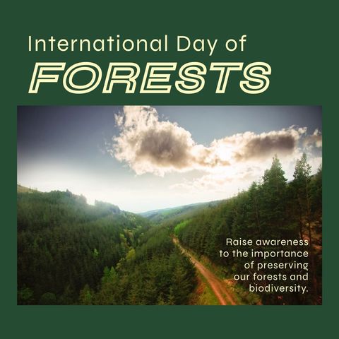 International Day of Forests Nature Awareness Poster - Download Free Stock Templates Pikwizard.com