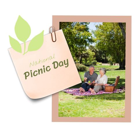 Senior couple enjoying picnic on national picnic day