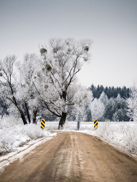 Snow-covered rural road with frosty trees on a cloudy day - Download Free Stock Photos Pikwizard.com