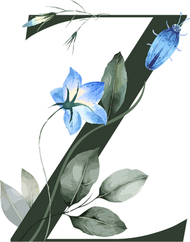 Ornamental Letter Z with Botanicals on Transparent Background