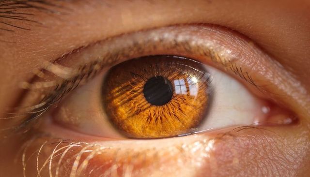 Macro amber human eye reflecting window, revealing iris texture, pupil detail