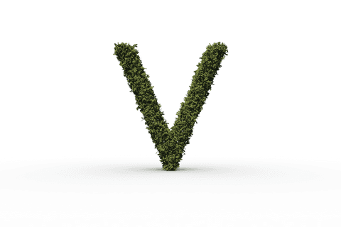 3d grass letter v on transparent background nature concept - Download Free Stock Videos Pikwizard.com