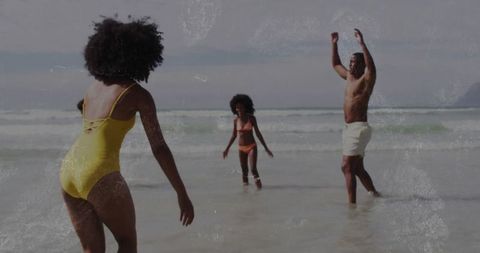 Family Fun in Sunlight at Ocean Shore