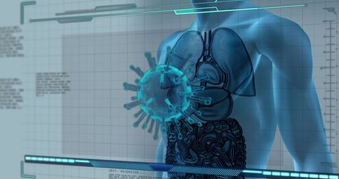Virus cells interacting with human body model in digital display