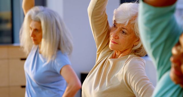 Senior women exercising in fitness class, promoting healthy lifestyle - Download Free Stock Images Pikwizard.com