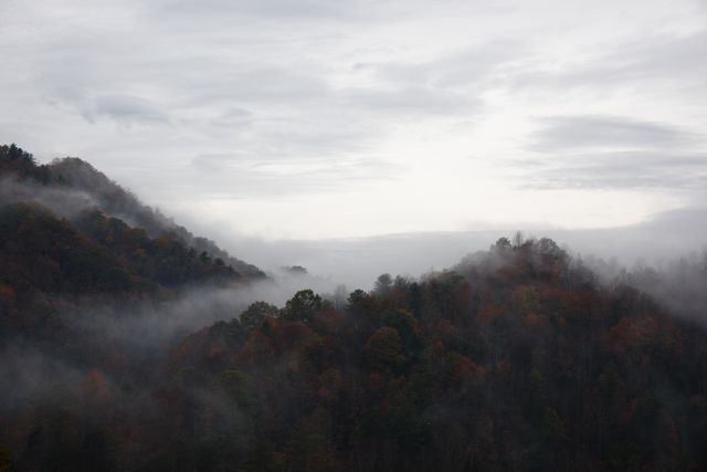 Photograph capturing fog and mist enveloping forested mountains on a cloudy morning. Ideal for nature, travel, and tranquility-themed projects. Perfect for use in promotional materials, websites, blogs, or posters highlighting serene and peaceful landscapes.