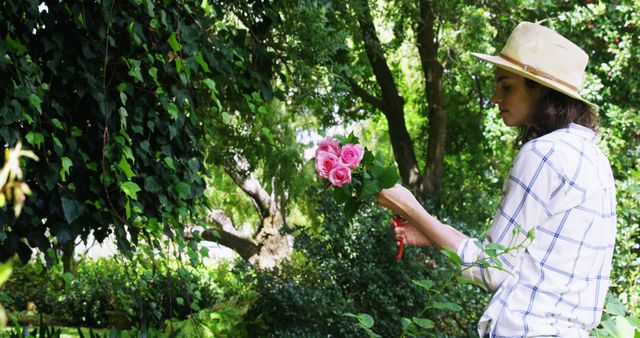 Woman wearing straw hat and checked shirt cutting pink roses from garden. Perfect for content depicting gardening, nature, outdoor activities, summertime leisure, and floral arrangements.