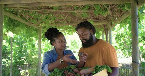African american couple inspecting fresh garden vegetables under vine-covered pergola