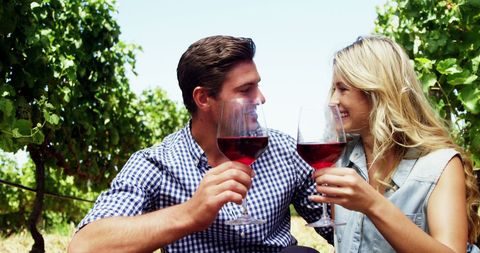 Romantic Couple Toasting Wine Glasses in Vineyard - Download Free Stock Images Pikwizard.com