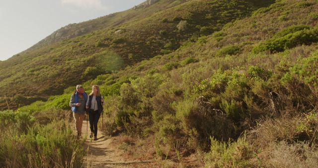 Couple Hiking Scenic Trail in Sunny Mountain Landscape - Download Free Stock Images Pikwizard.com