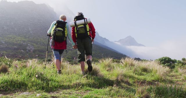 Rear view of senior hiker couple with backpacks and hiking poles holding hands and walking while hiking in the mountains. trekking, hiking, nature, activity, exploration, adventure concept.