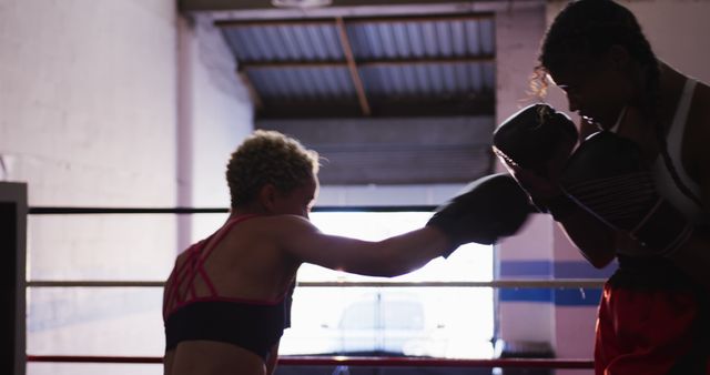 Women Practicing Boxing Sparring in Gym - Download Free Stock Images Pikwizard.com