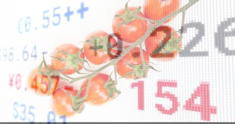 Vine cherry tomatoes overlaying pixelated price display conveying fresh produce retail