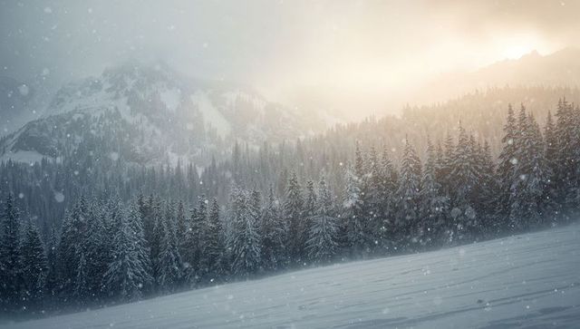 Sunlight glowing through falling snow over alpine pine forest and misty mountain ridges
