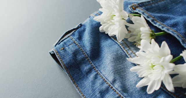 Close up of jeans with white flowers on grey background with copy space. Denim day, material, style and design concept.