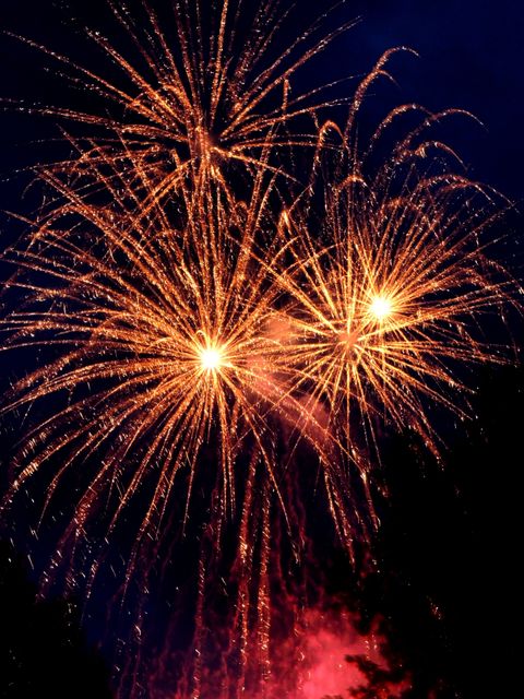 Displays burst of colorful fireworks lighting up night sky. Images like this are ideal for celebrating holidays, New Year's events, festive occasions, and promotional materials for festivals or community gatherings.