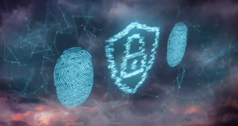 Digital Security Through Biometrics and DNA Visualization