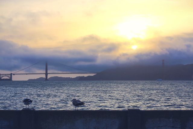 Golden Gate Bridge Sunset with Seagulls on Fence - Download Free Stock Images Pikwizard.com