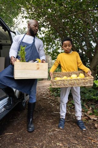 Carrying harvest: african american father and son carrying crates of lemons from van