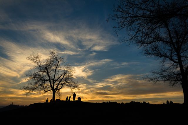 Silhouetted figures stand under a tree against a dramatic sunset sky with rich orange and blue hues. Bare trees frame the scene, enhancing the tranquil ambiance. Ideal for use in projects related to nature, relaxation, serenity, the beauty of the outdoors, or as a contemplative and calming background.