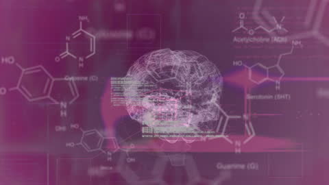 Digital Brain with Chemical Data Overlay